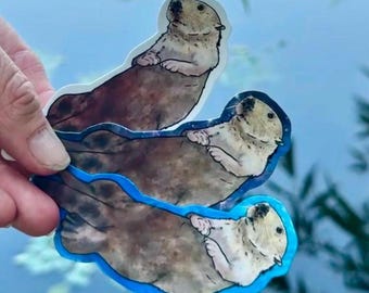 Sticker loutre de mer, sticker imperméable, sticker vinyle, sticker loutre, sticker bouteille d'eau, sticker animal, cadeau loutre de mer, loutre de mer
