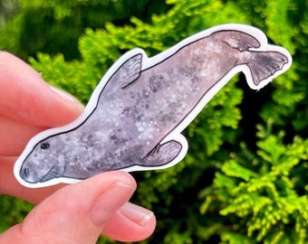 Autocollant de sceau gris, sceau gris, arc-en-ciel, cadeau de sceau, autocollant de sceau, sceau, cadeau de sceau gris