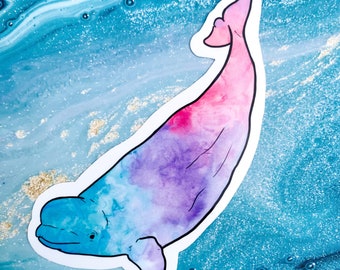 Rainbow beluga sticker, beluga whale sticker, Zookeeper sticker, waterproof sticker, water bottle sticker, animal sticker, beluga whale gift