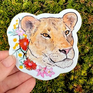 Floral lioness sticker, Zookeeper sticker, waterproof sticker, waterbottle sticker, animal sticker, lion gift, lion sticker, lion