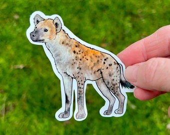 May include: A sticker featuring a detailed illustration of a hyena. The hyena is depicted in a standing pose with a light brown coat, dark spots, and a black tail. The sticker has a white border and is held against a green background.