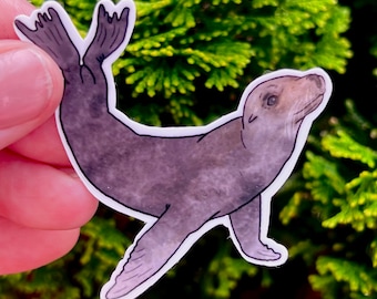 Sea lion water proof sticker, waterbottle sticker, sea lion, pinniped, sea lion gift, zookeeper gift