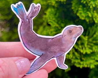 Sea lion water proof sticker, waterbottle sticker, sea lion, pinniped, sea lion gift, zookeeper gift