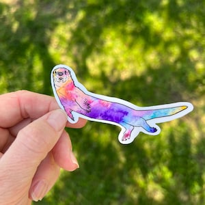 Rainbow River otter sticker, waterproof sticker, vinyl sticker, otter sticker, water bottle sticker, animal sticker, otter gift