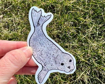 Harbor Seal Sticker, harbor seal sticker, rainbow harbor seal, rainbow seal sticker, harbor seal gift, seal gift, seal sticker