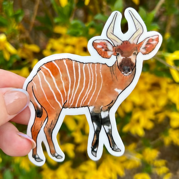 Bongo antelope sticker, Zookeeper sticker, waterproof sticker, bongo antelope sticker, animal sticker, bongo antelope, antelope