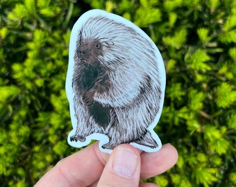 Sticker porc-épic d'Amérique du Nord, porc-épic d'Amérique du Nord, sticker porc-épic, cadeau animal, cadeau porc-épic, porc-épic
