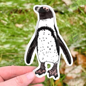 Penguin sticker, African penguin, Zookeeper sticker, waterproof sticker, vinyl sticker, bird sticker, water bottle sticker, animal sticker,