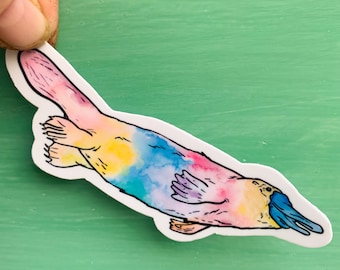 Rainbow Platypus sticker, waterproof sticker, waterbottle sticker, animal sticker, wildlife sticker, platypus gift, Platypus sticker