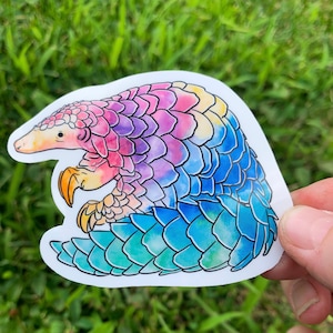 Rainbow pangolin sticker, waterproof sticker, waterbottle sticker, animal sticker, wildlife sticker, zookeeper sticker, pangolin sticker