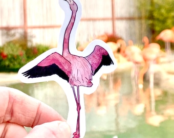 Flamingo sticker, Flamingo gift, waterproof sticker, vinyl sticker, bird sticker, water bottle sticker, animal sticker, Flamingo decor