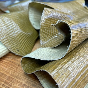 Glossy Brown/Olive Genuine Iguana Skin, Premium Iguana Lizard by BAHTARMA