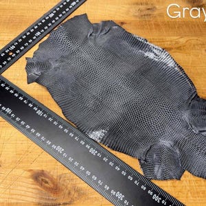 Puede incluir: Una piel de serpiente gris con un patr&oacute;n texturizado. La piel se mide con una regla en pulgadas.