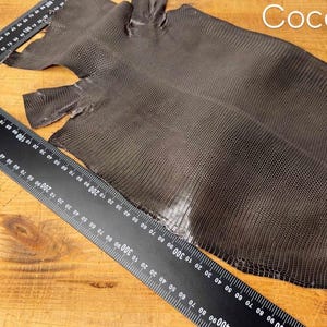 Puede incluir: Una piel de serpiente de cuero gris oscuro con una superficie texturizada. La piel se coloca plana sobre una superficie de madera con una regla para la escala. El texto "Cocoa L" es visible en la esquina superior derecha de la imagen.