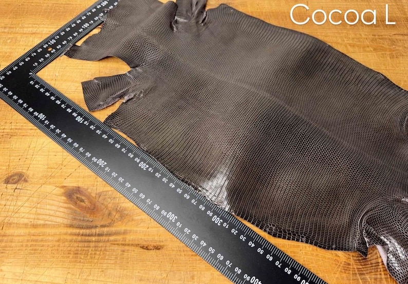 Puede incluir: Una piel de serpiente de cuero gris oscuro con una superficie texturizada. La piel se coloca plana sobre una superficie de madera con una regla para la escala. El texto "Cocoa L" es visible en la esquina superior derecha de la imagen.