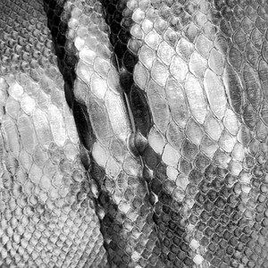 May include: Close-up of a snakeskin pattern in shades of gray and white. The scales vary in size and shape, creating a textured surface. The pattern is detailed and intricate, with a natural, organic aesthetic.