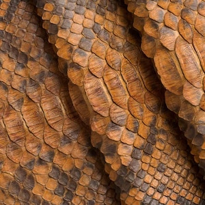 Genuine Cognac Python Skin, Blue Glossy Snake Skin, Red Matte Snake Leather, Exotic Leather by BAHTARMA