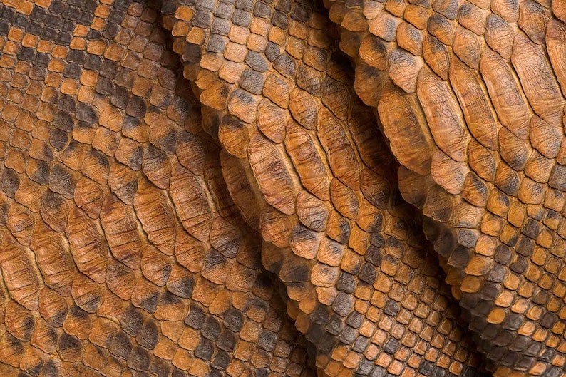 May include: Close-up of a textured surface with a repeating pattern of brown and black scales. The scales have a slightly raised, overlapping design, creating a reptile-like appearance. The color palette is warm, with variations of brown and black.