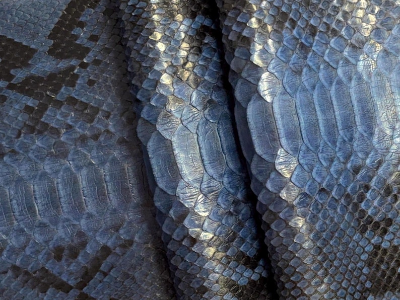 May include: Close-up of blue and black snake skin. The scales have a textured appearance and vary in size and shape. The color transitions from dark blue to lighter shades, creating a pattern.