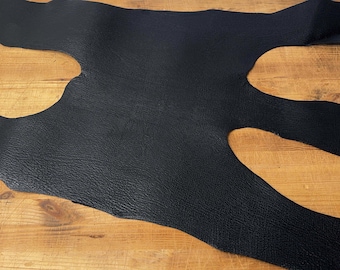 Piel de tiburón azul negra, piel de tiburón auténtica, piel de tiburón grande