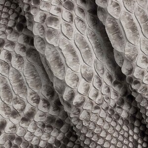 May include: Close-up of a textured, gray snakeskin pattern. The scales vary in size and shape, creating a natural, organic look. The image shows the detailed texture and color variations of the snakeskin.