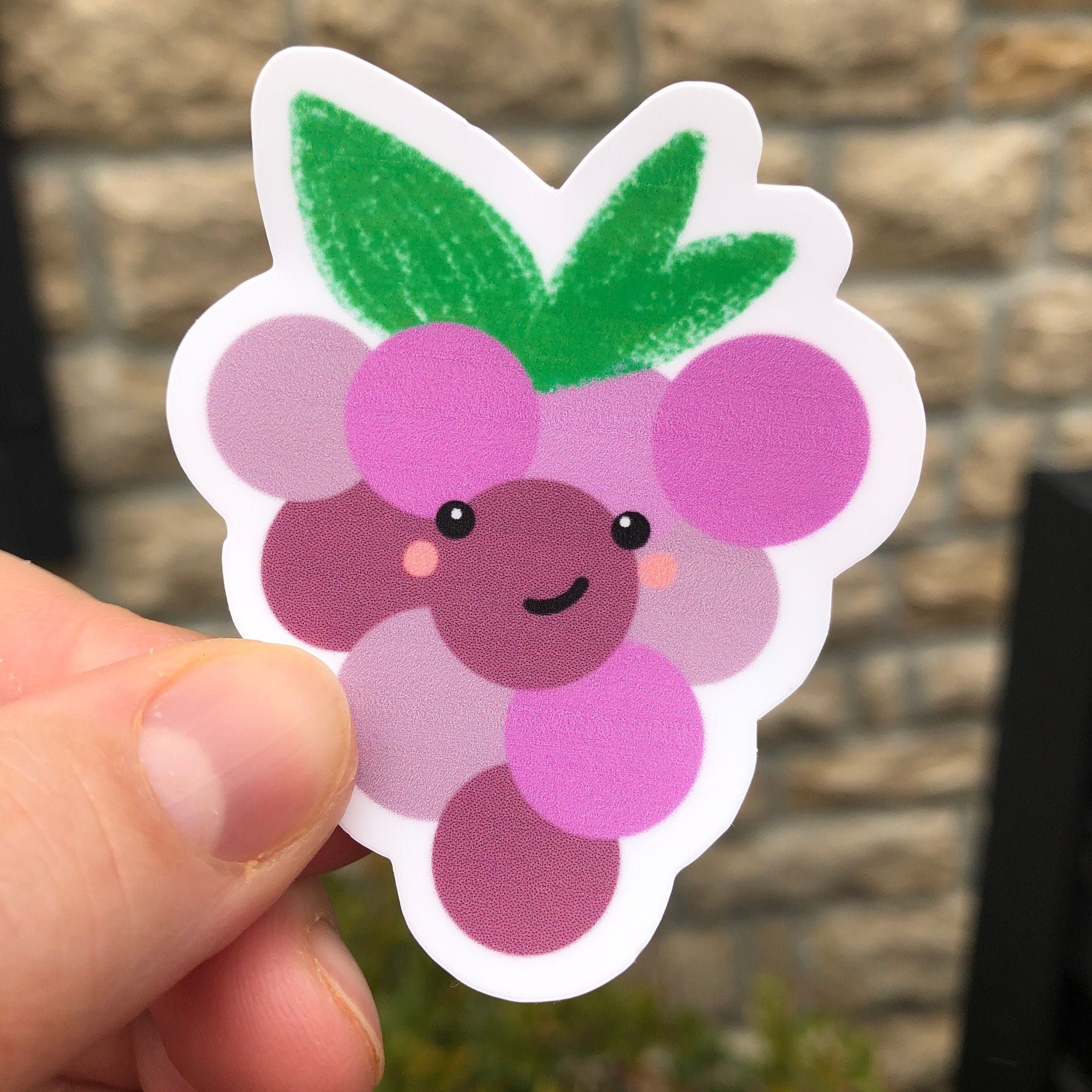 Cute Fruit Grape Sticker Grape Sticker Fruit Sticker Vinyl Etsy