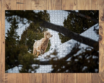 Puzzle | Bighorn Sheep Grazing in the Snow | 100, 500, 1000 piece Jigsaw Puzzle | Original Art Photography | Family, Gift, Adults, Children