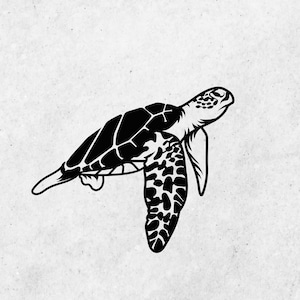 Sea Turtle svg Instant Digital Download files for cricut and silhouette, Turtle svg files sea life clipart sea turtle design, Water life