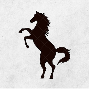 Silhueta de cavalo, design de cavalo em pé, clipart de cavalo com duas pernas, gráficos de cavalo, estampas de cavalo, design SVG de cavalo, Svg, arquivo de corte
