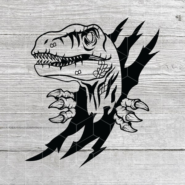 Raptor SVG files for Cricut, Dinosaur SVG , Velociraptor in the wall scratch svg, velociraptor with sharp claws, digital download,Peeking
