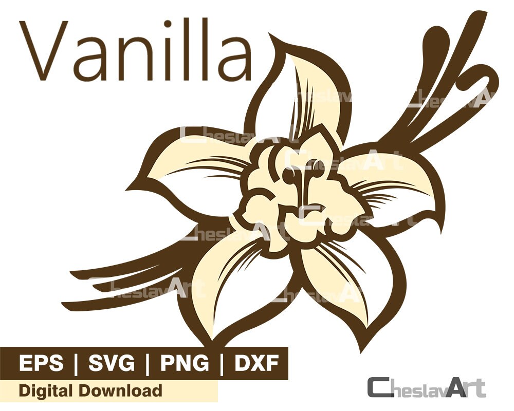 Vanilla Flower SVG, Vanilla Svg, Vanilla Clipart, Vanilla Files for