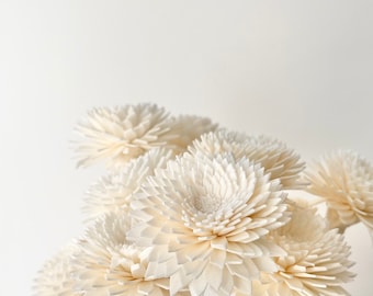High Quality - HANDMADE SOLA Wood Flower | White Chrysanthemum Daisy Blooms | Diffuser Reeds - Dried Floral Design | Natural DIY Wedding