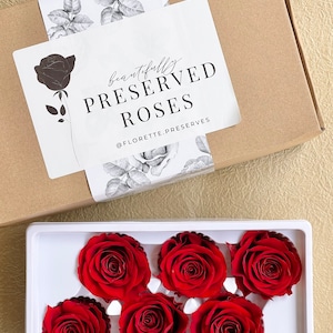 Pack of 6 - Beautiful Preserved Dried Roses Large Heads - Floral Design | Natural Arrangement | DIY Dried Flowers Wedding