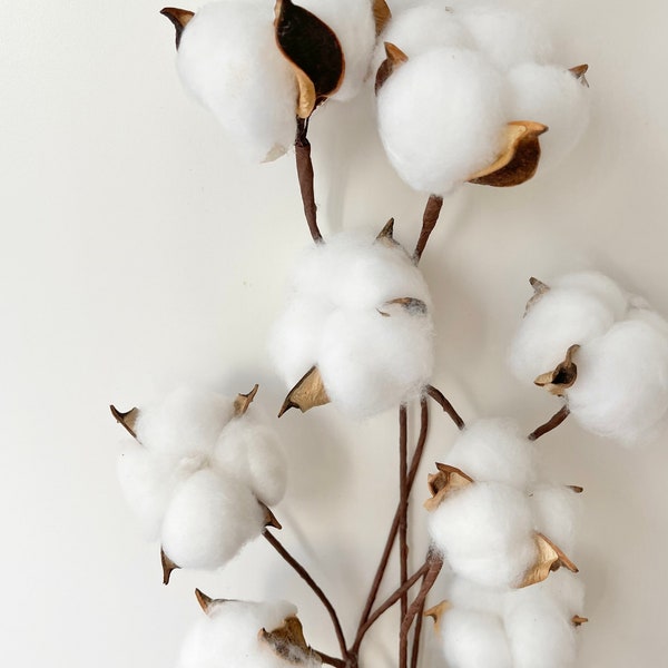 High Quality - 6 in 1 Stemmed White Cotton Pod Balls wired heads - Dried Floral Design | Natural Arrangement | DIY Flowers Wedding Bouquet