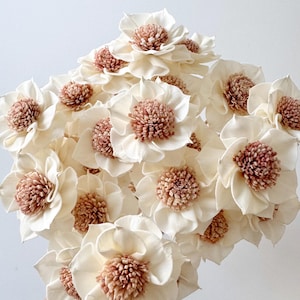 Könnte beinhalten: Ein Strauß cremefarbener Kunstblumen mit hellbraunem Zentrum. Die Blumen haben mehrere Blütenblätter und sind zusammengefasst. Der Hintergrund ist schlicht weiß.