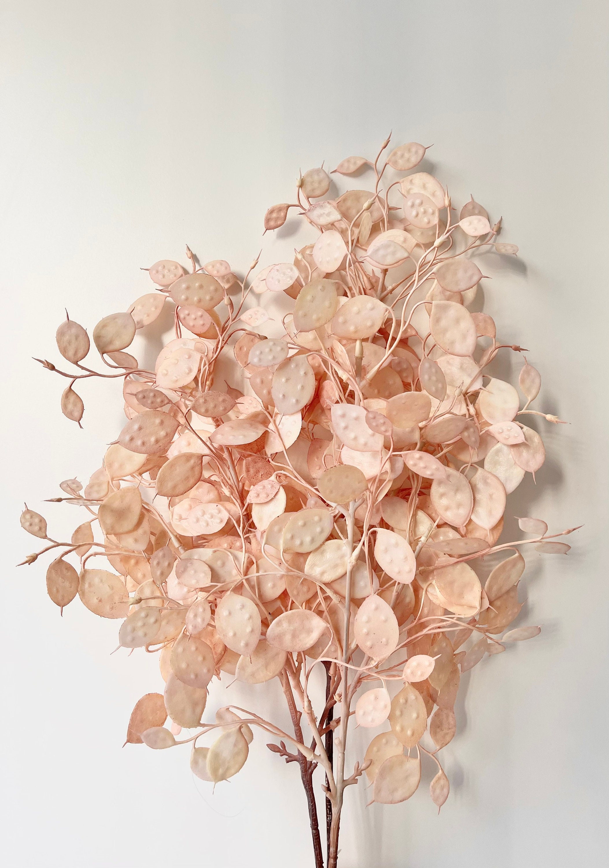 Artificial Faux PreservedLook Honesty Plant Leaves Wired Etsy