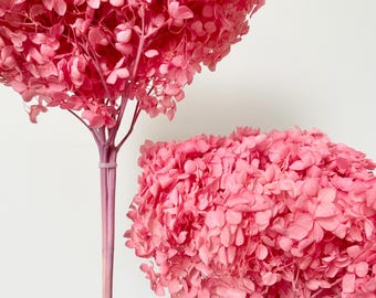 High Quality - Preserved LARGE HEAD HYDRANGEAS - Fairy Pink | Dried Flowers Floral Design | Natural Arrangement | Wedding Bouquet