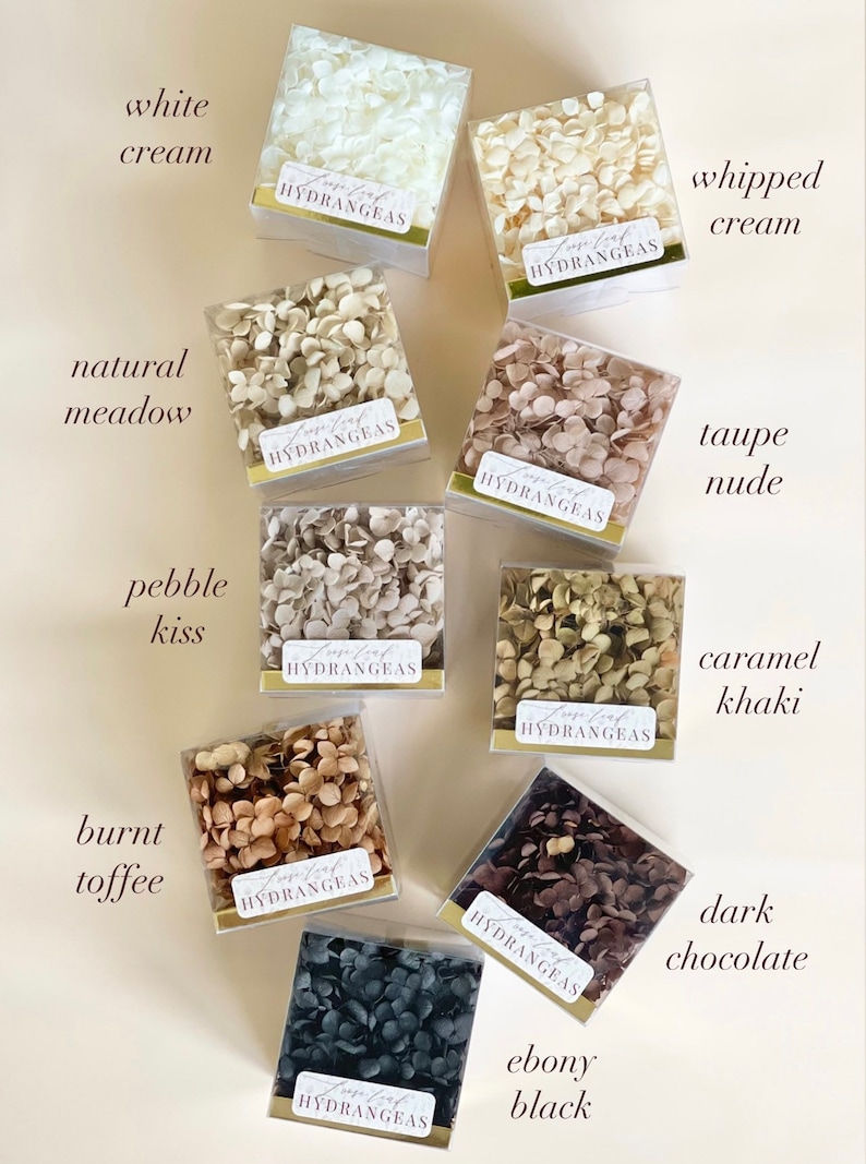 May include: Ten small square boxes filled with dried hydrangea petals in various shades of white, beige, brown, and black. The boxes are labelled "Loose Leaf Hydrangeas" and each box has a colour name written next to it, such as "white cream", "whipped cream", "natural meadow", "taupe nude", "pebble kiss", "caramel khaki", "burnt toffee", "dark chocolate", "ebony black".