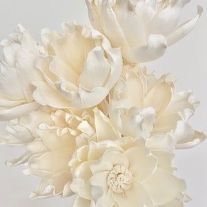 May include: A bouquet of white sola wood flowers. The flowers have a delicate, ruffled texture and are arranged in a cluster.