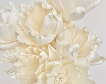 Può includere: Un bouquet di fiori bianchi in legno di sola. I fiori hanno una texture delicata e arricciata e sono disposti in un grappolo.