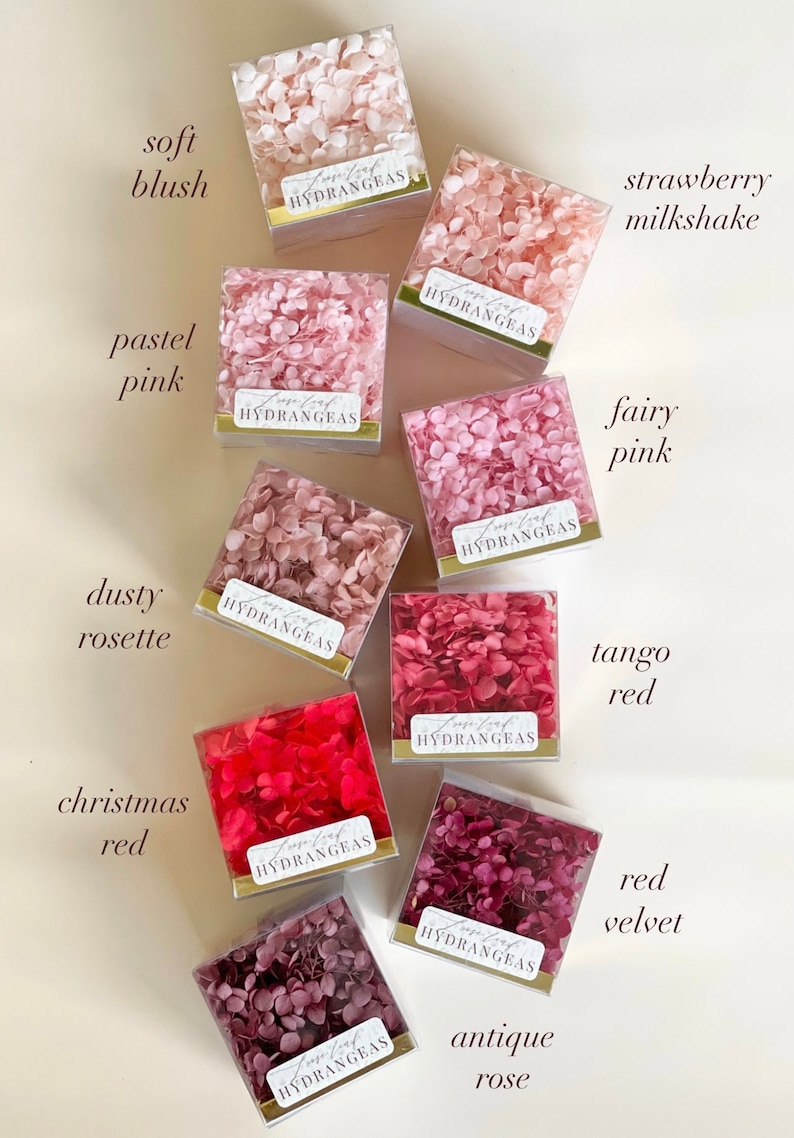 May include: An assortment of dried hydrangea flower arrangements in clear boxes with gold trim. The boxes are labelled 'Forever Leaf Hydrangeas' and are arranged in a grid pattern. The colours of the hydrangeas include soft blush, pastel pink, strawberry milkshake, fairy pink, dusty rose, tango red, Christmas red, red velvet, and antique rose.