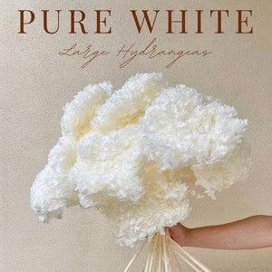 High Quality - Large Head - Preserved Hydrangeas Clouds Pure White | Flower Floral Design | Natural Arrangment | DIY Dried Flowers