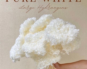 High Quality - Large Head - Preserved Hydrangeas Clouds Pure White | Flower Floral Design | Natural Arrangment | DIY Dried Flowers
