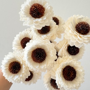 May include: A bouquet of white sola wood flowers with brown centers. The flowers are arranged in a cluster and have a delicate, layered appearance.