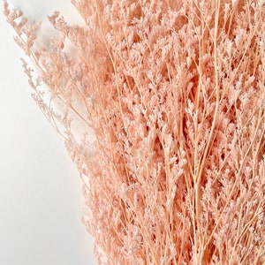 Preserved Dried MISTY LIMONIUM Caspia Plant | Pink Shades | Dried Flowers | DIY Wedding Bouquet Boho Decor Crafts Arrangement