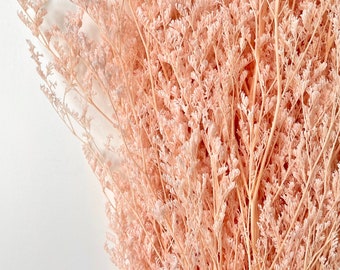 Preserved Dried MISTY LIMONIUM Caspia Plant | Pink Shades | Dried Flowers | DIY Wedding Bouquet Boho Decor Crafts Arrangement