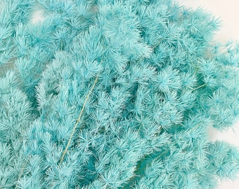 Preserved Ming Ferns - Turquoise AQUA Marine Colour Large Size Cut - | Dried Flower Floral Design | Natural Arrangment | DIY Wedding Bouquet