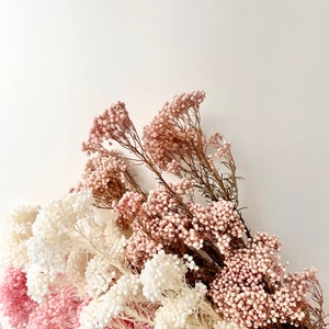 Bunch of Preserved RICE FLOWER Plant | Various Colour | Dried Flowers | DIY Wedding Boho Decor Crafts Arrangement Hamper Floral Design
