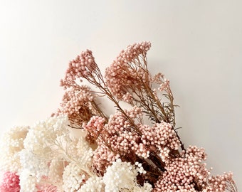 Bouquet de plante de fleur de riz stabilisée | Diverses couleurs | Fleurs séchées | Panier d'arrangement artisanal pour mariage bohème bricolage, design floral