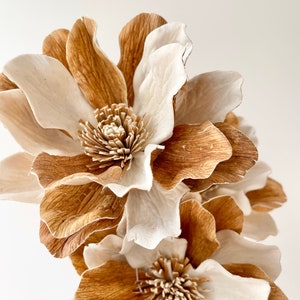 Könnte beinhalten: Ein Strauß getrockneter Magnolienblüten mit braunen und weißen Blütenblättern. Die Blüten sind in einer Traube angeordnet, wobei die braunen Blütenblätter die weißen Blütenblätter überlappen.